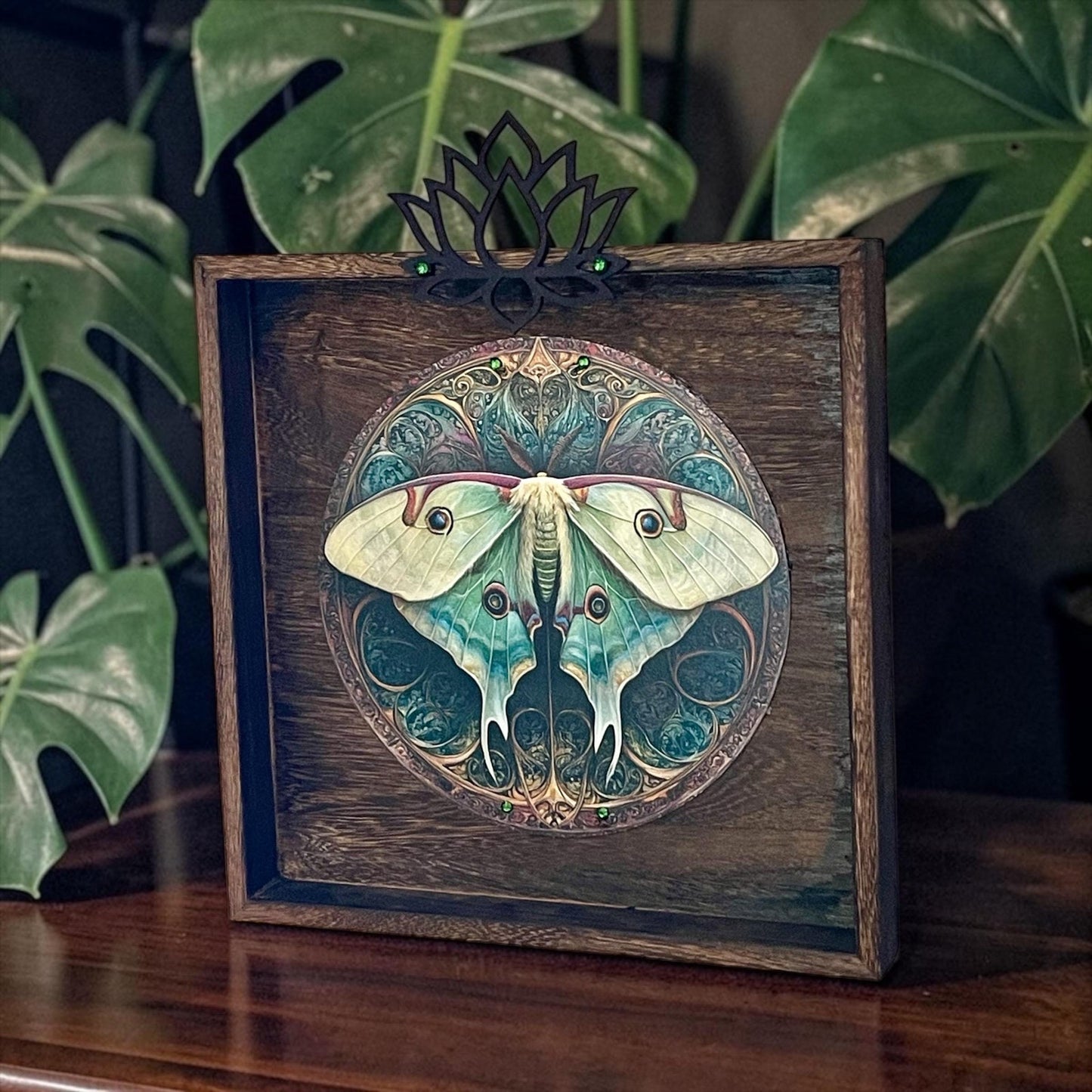 Luna Moth Wall Art 10.5” | Wood Framed Celestial Decor |